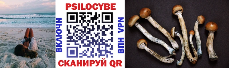 Галлюциногенные грибы MAGIC MUSHROOMS  shop Telegram  Муравленко 